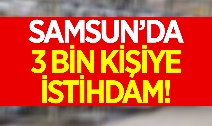 Samsun'da 3 Bin Kişiye İstihdam