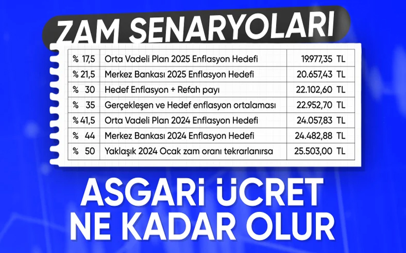 2025 Asgari Ücret İçin Senaryolar: Zam Oranları ve Ekonomik Etkiler