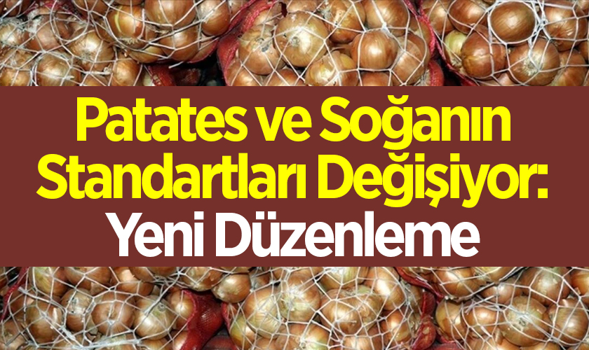 Patates ve Soğanın Standartları Değişiyor: Yeni Düzenleme