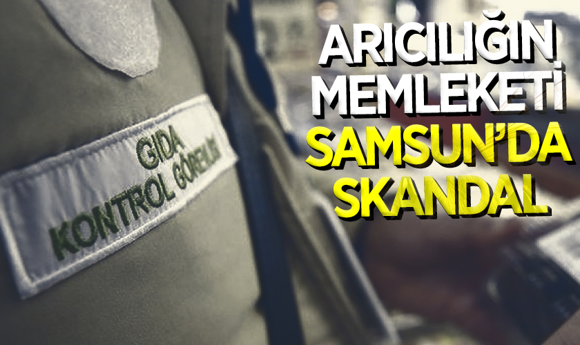 Arıcılığın Memleketi Samsun'da Skandal