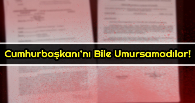 Cumhurbaşkanı'nı Bile Umursamadılar