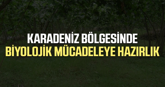 Karadeniz Bölgesinde Biyolojik Mücadeleye Hazırlık haberi