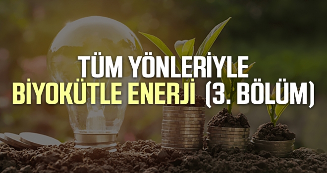 Tüm Yönleriyle Biyokütle Enerji Yazı Dizisi 3. Bölüm