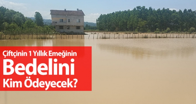 Çiftinin 1 Yıllık Emeğinin Bedelini Kim Ödeyecek?