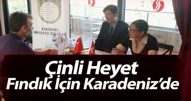 Çinli Heyet Fındık İçin Karadeniz'de