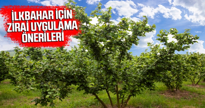 İlkbahar için zirai uygulama önerileri