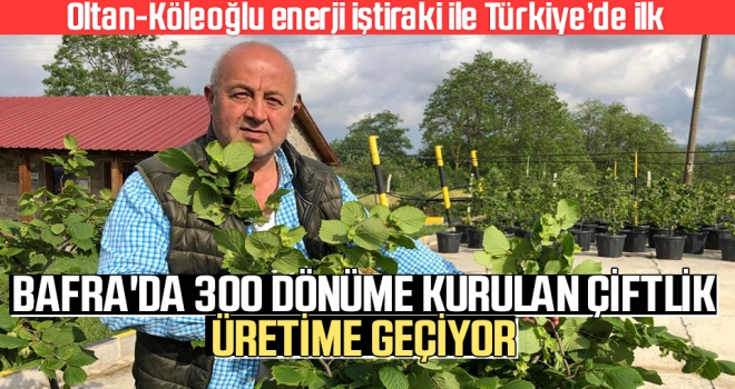 Bafra’da 300 Dönüme Kurulan Çiftlik Üretime Geçiyor