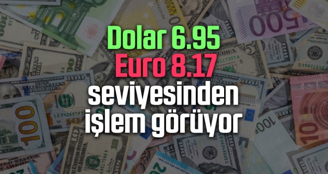 Dolar 6.95, Euro 8.17 seviyesinden İşlem Görüyor haberi