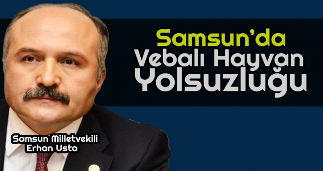 Samsun’da Vebalı Hayvan Yolsuzluğu