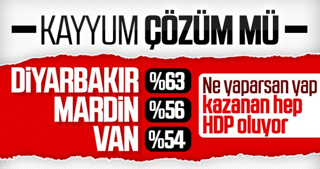 Kayyumun Hizmetlerine Rağmen Yine HDP Seçildi