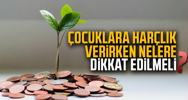 Çocuklara Harçlık Verirken Nelere Dikkat Edilmeli?