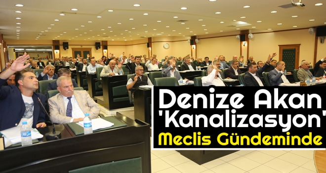 Denize Akan 'Kanalizasyon' Meclis Gündeminde