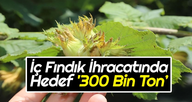 İç Fındık İhracatında Hedef '300 Bin Ton'