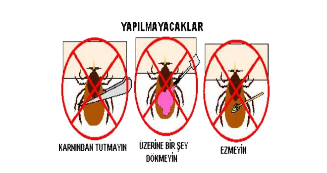 Aile Hekimleri Kenelere Karşı Uyarıyor