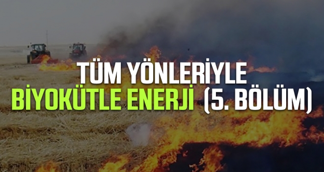 Tüm Yönleriyle Biyokütle Enerji 3. Bölüm