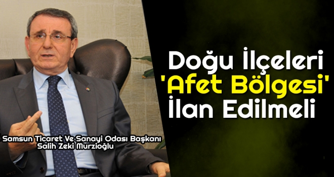 Murzioğlu: Doğu İlçeleri 'Afet Bölgesi' İlan Edilmeli