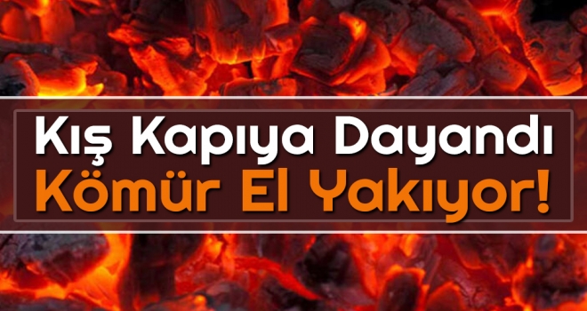 Kış Kapıya Dayandı Kömür El Yakıyor