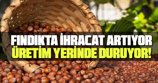 Fındıkta İhracat Artıyor, Üretim Yerinde Duruyor