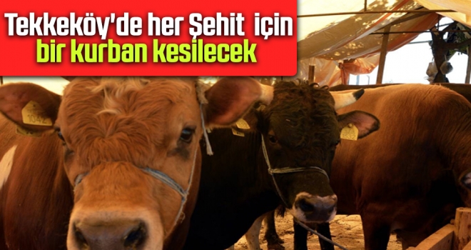 Tekkeköy'de Her Şehit İçin Bir Kurban Kesilecek haberi