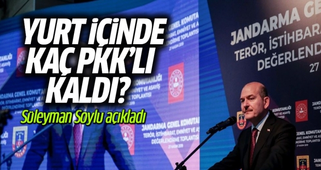 Soylu: Yurt içinde 500'ün çok az üzerinde terörist kaldı