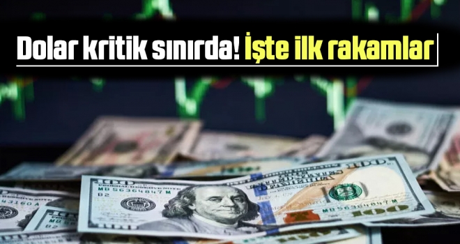 Dolar 6,99 Seviyelerinden İşlem Görüyor