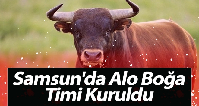 Samsun'da Alo Boğa Timi Kuruldu