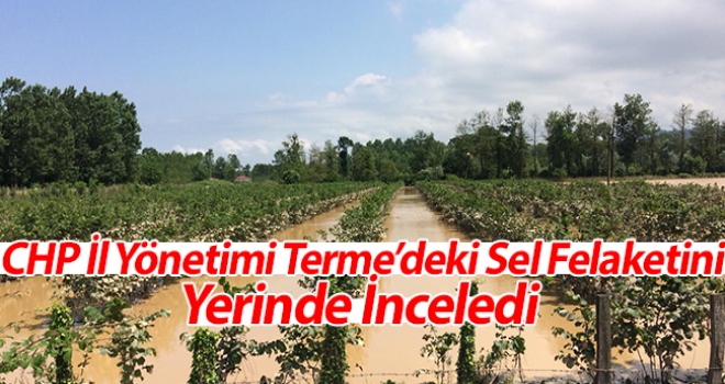 CHP İl Yönetimi Terme'de Sel Felaketini Yerinde İnceldi