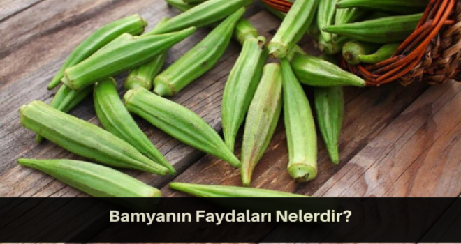 Bamyanın Faydaları Nelerdir?