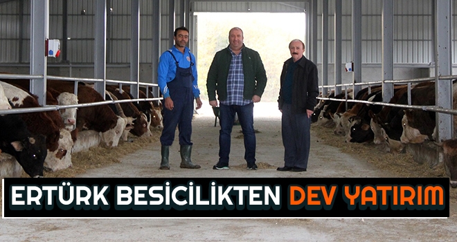 Ertürk Besicilikten Dev Yatırım