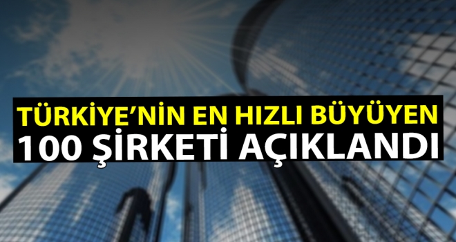 En hızlı büyüyen 100 şirket