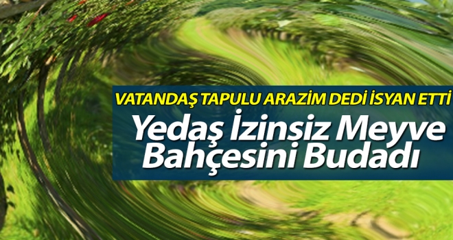 YEDAŞ İzinsiz Meyve Bahçesini Budadı!