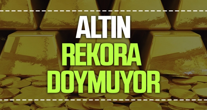 Altın Rekora Doymuyor haberi