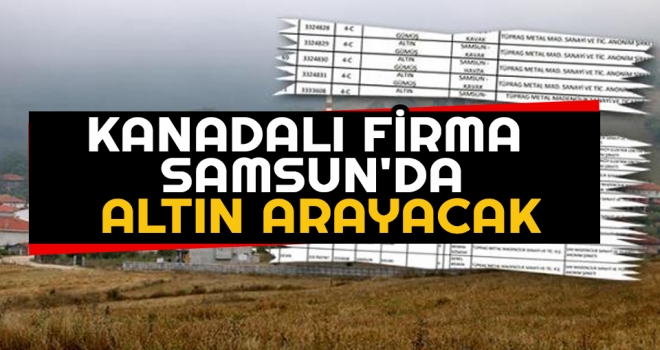 Kanadalı Firma Samsun'da Altın Arayacak