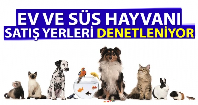 Ev ve Süs Hayvanı Satış Yerleri Denetleniyor