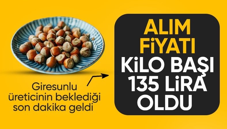 SON DAKİKA! Fındık alım fiyatı açıklandı haberi